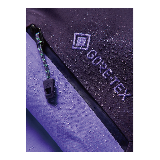 BURTON ウェア バートン  Women's [ak] Cyclic GORE-TEX 2L Jacket Nightshade Purple/Purple Voltage 3076410E7O 26-27 スノーボードウェア 日本正規品
