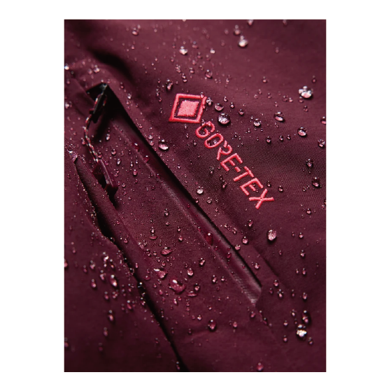 BURTON ウェア バートン  Women's [ak] Cyclic GORE-TEX 2L Jacket Rum Raisin 3076410FAK 26-27 スノーボードウェア 日本正規品