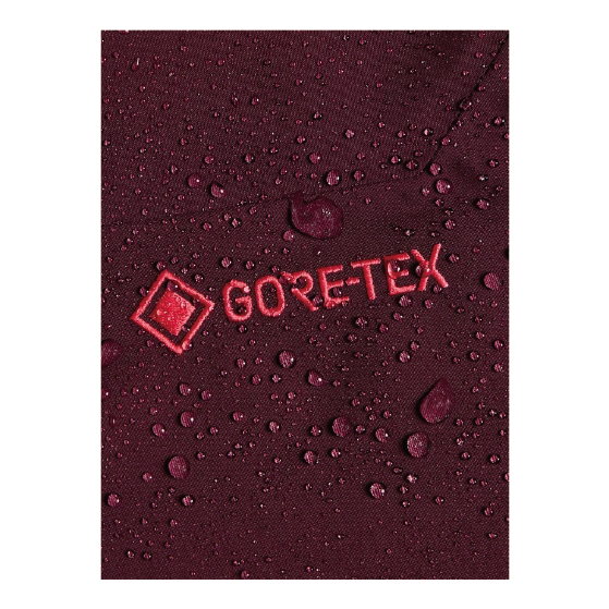 BURTON ウェア バートン  Women's [ak] Cyclic GORE-TEX 2L Pants Rum Raisin 3076810FAK 26-27 スノーボードウェア 日本正規品