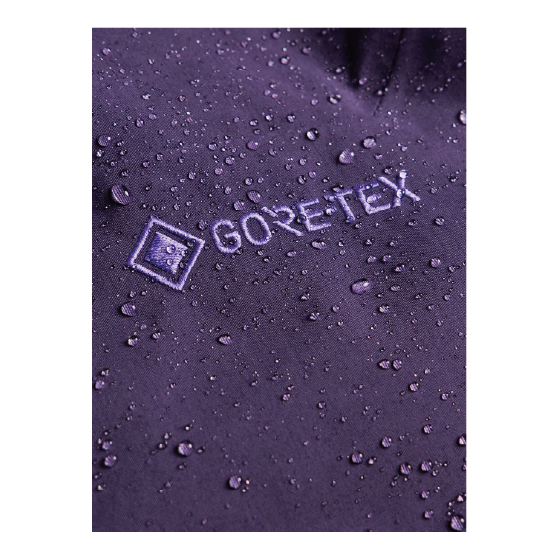 BURTON ウェア バートン  Women's [ak] Insulated Swash GORE-TEX 2L Pants Nightshade Purple 3076010E7Z 26-27 スノーボードウェア 日本正規品