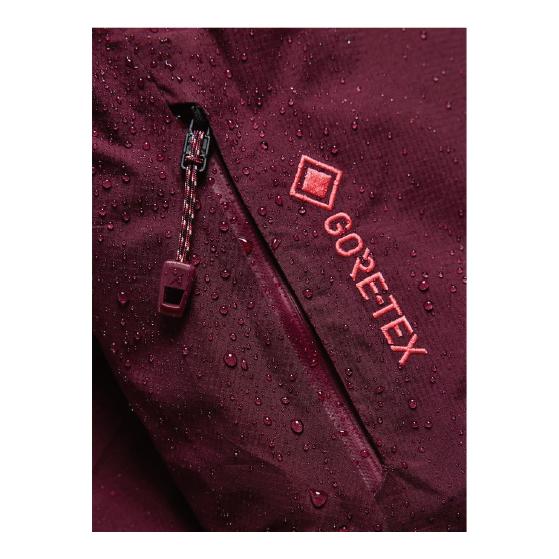 BURTON ウェア バートン  Women's [ak] Swash Down Insulated GORE-TEX 2L Jacket Rum Raisin 3075610FAK 26-27 スノーボードウェア 日本正規品